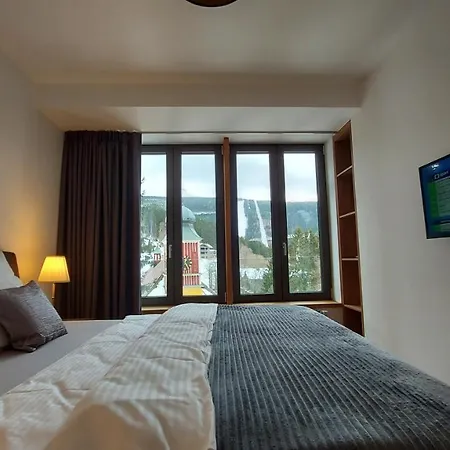 With Mountain Views Apartment